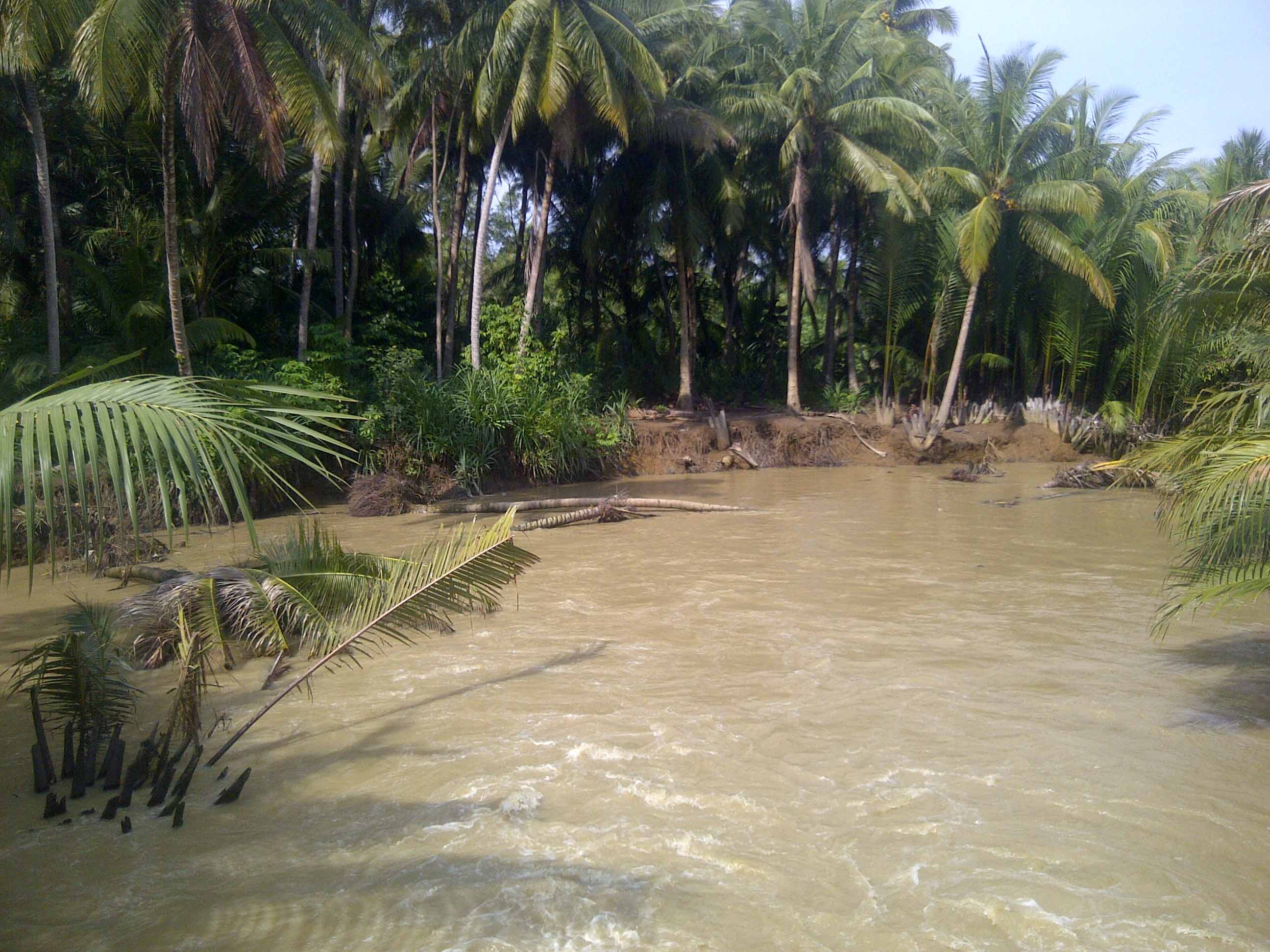 Abrasi Sungai Sebabkan Kebun Warga Berubah jadi Sungai