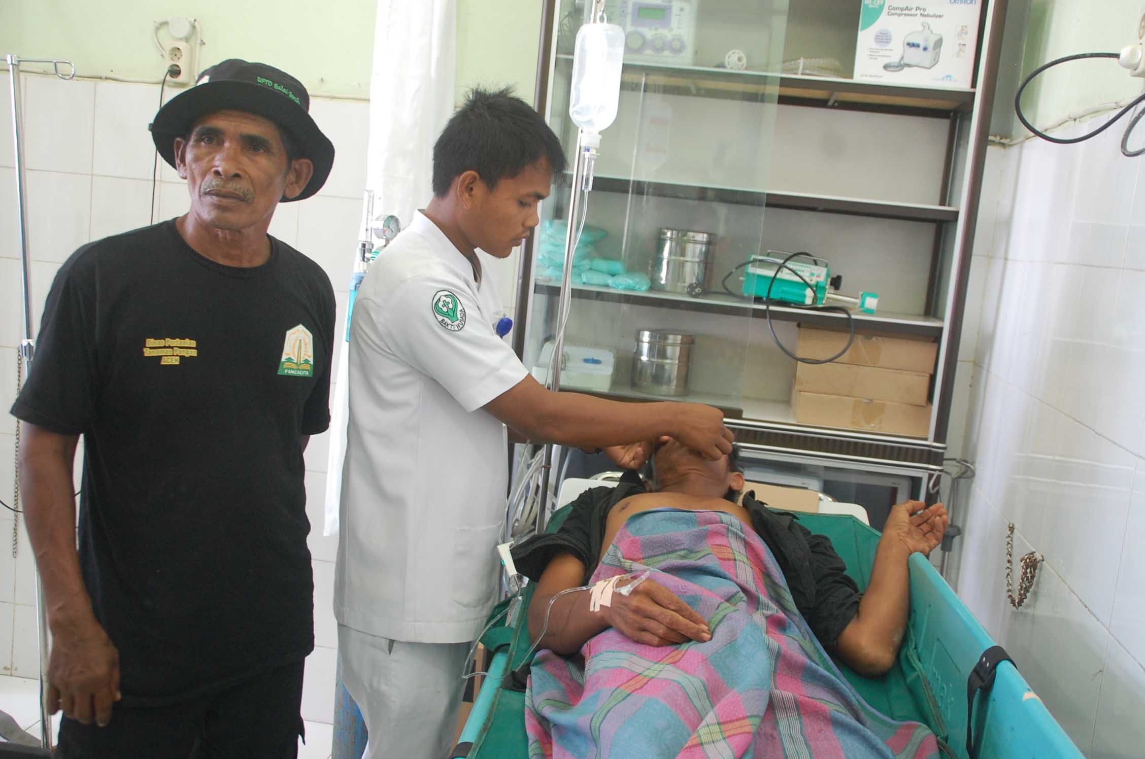 40 Kawanan Gajah Liar Ngamuk Seorang Petani Kebun Diseruduk  Nyaris Tewas