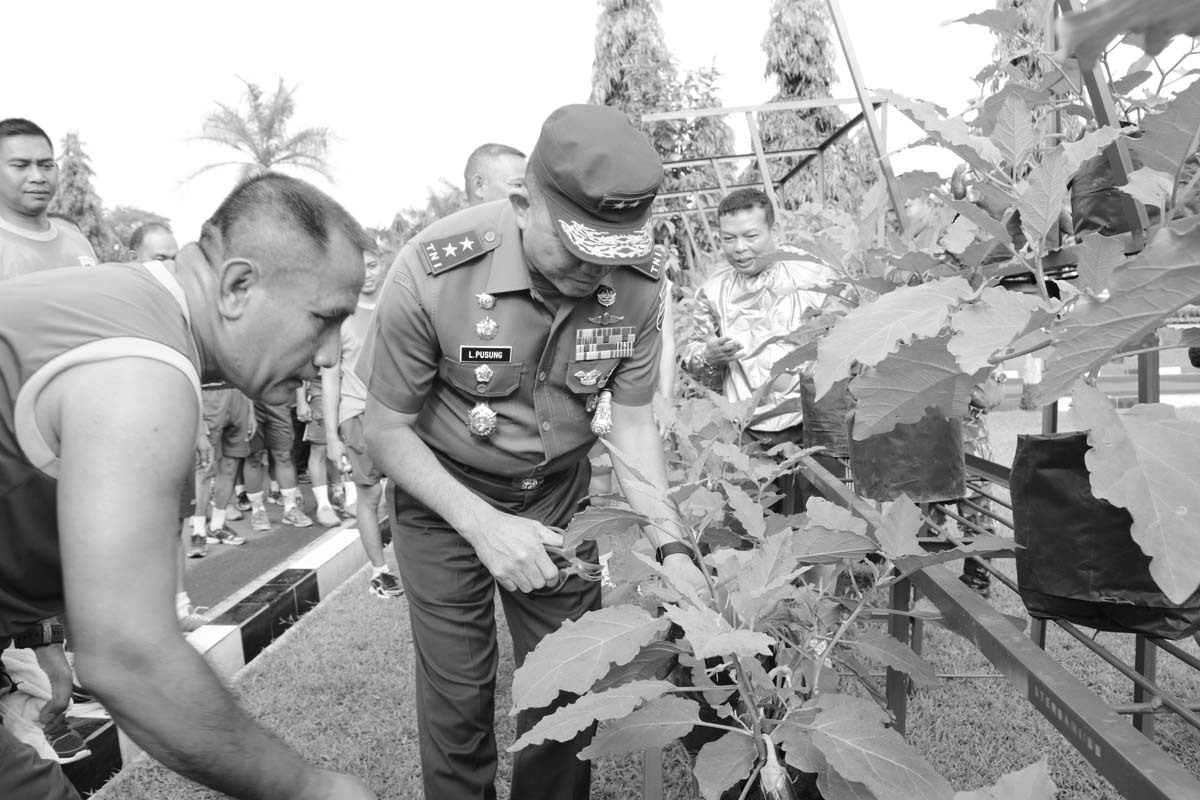 Pandam I/BB Panen Perdana  Tanaman Holtikultura Organik