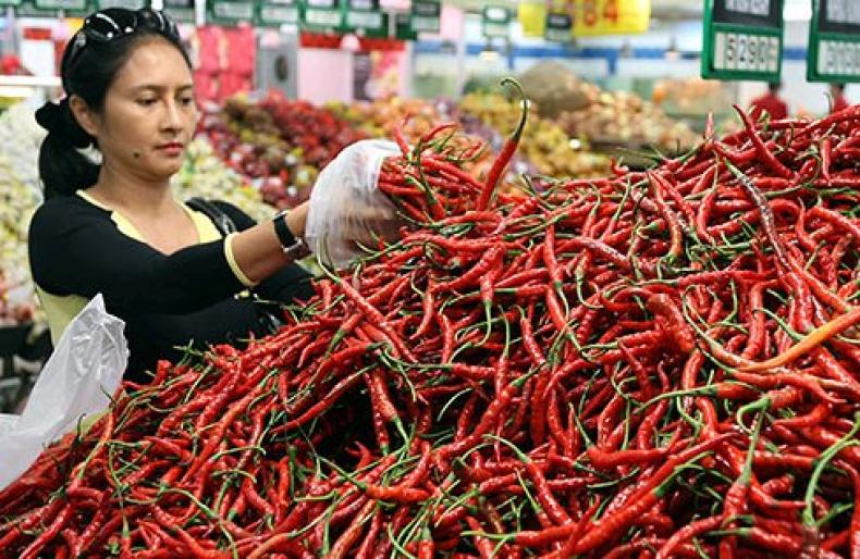 Produksi Cabai Merah Cukup Harga Tidak Stabil