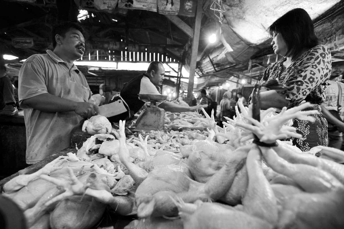 Pedagang Tradisional Khawatir Harga Ayam Potong Naik