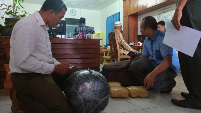 Bawa Ganja 26,6 Kg Kurir Sabu Ditangkap