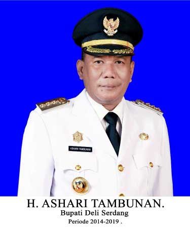 Drs H Ashari Tambunan:  Deliserdang Jadi Kabupaten Terbaik di Indonesia