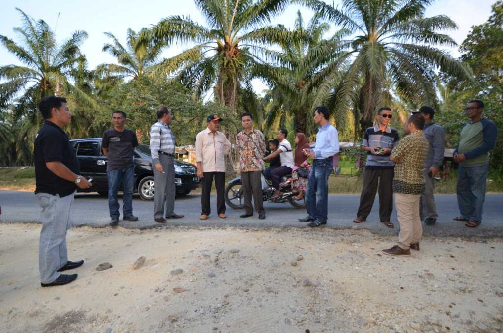 Segera Bangun Pabrik Minyak Goreng di Langsa