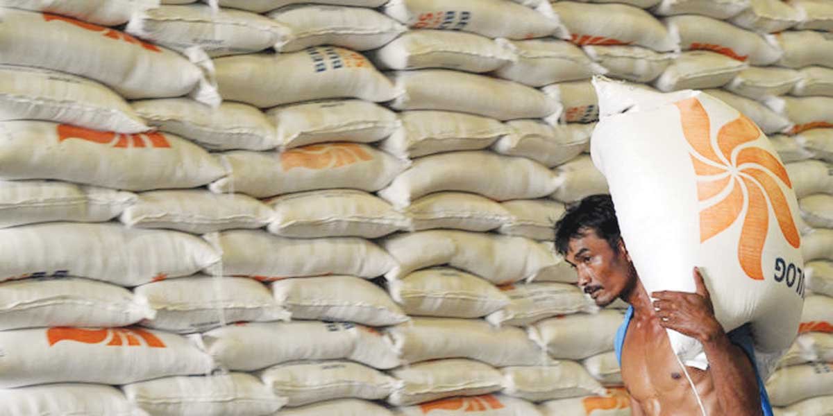 Dorong Produksi Beras Bulog Benahi Infrastruktur Pascapanen