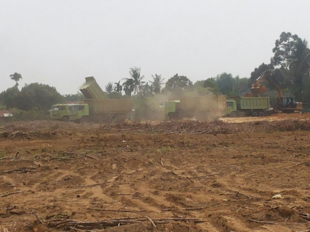 Pemkab Sergai Diminta Tindak Tegas  Galian C Belum Memiliki Izin