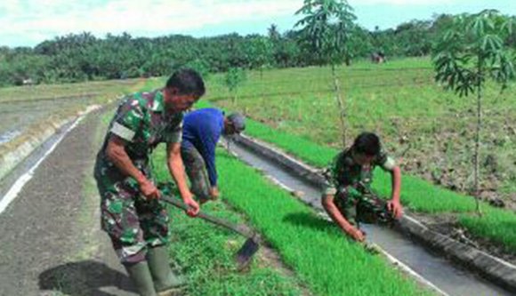 BABINSA KORAMIL 13 BUNTU PANE BERSAMA PETANI MERAWAT BENIH PADI
