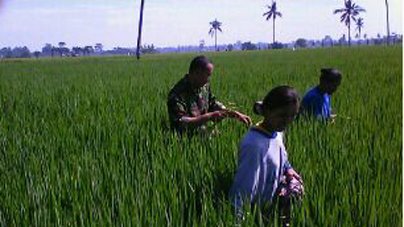 BABINSA DAMPINGI PETANI BERSIHKAN RUMPUT DI LAHAN PADI