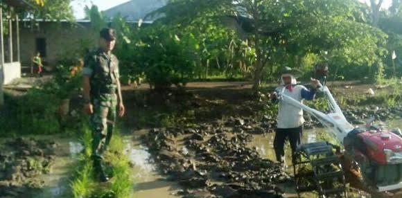 BABINSA TURUN KESAWAH, BANTU PETANI OLAH LAHAN DI KEC. BINJAI TIMUR