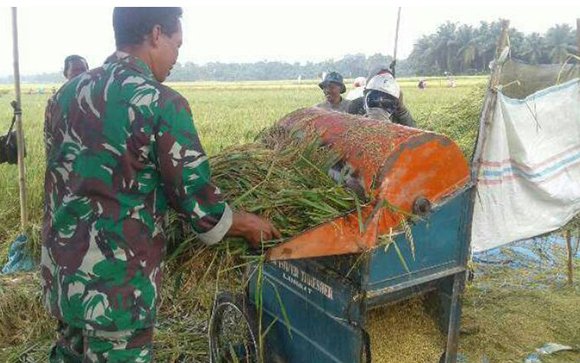 Petani Kembali Menyemai Tanaman Pangan