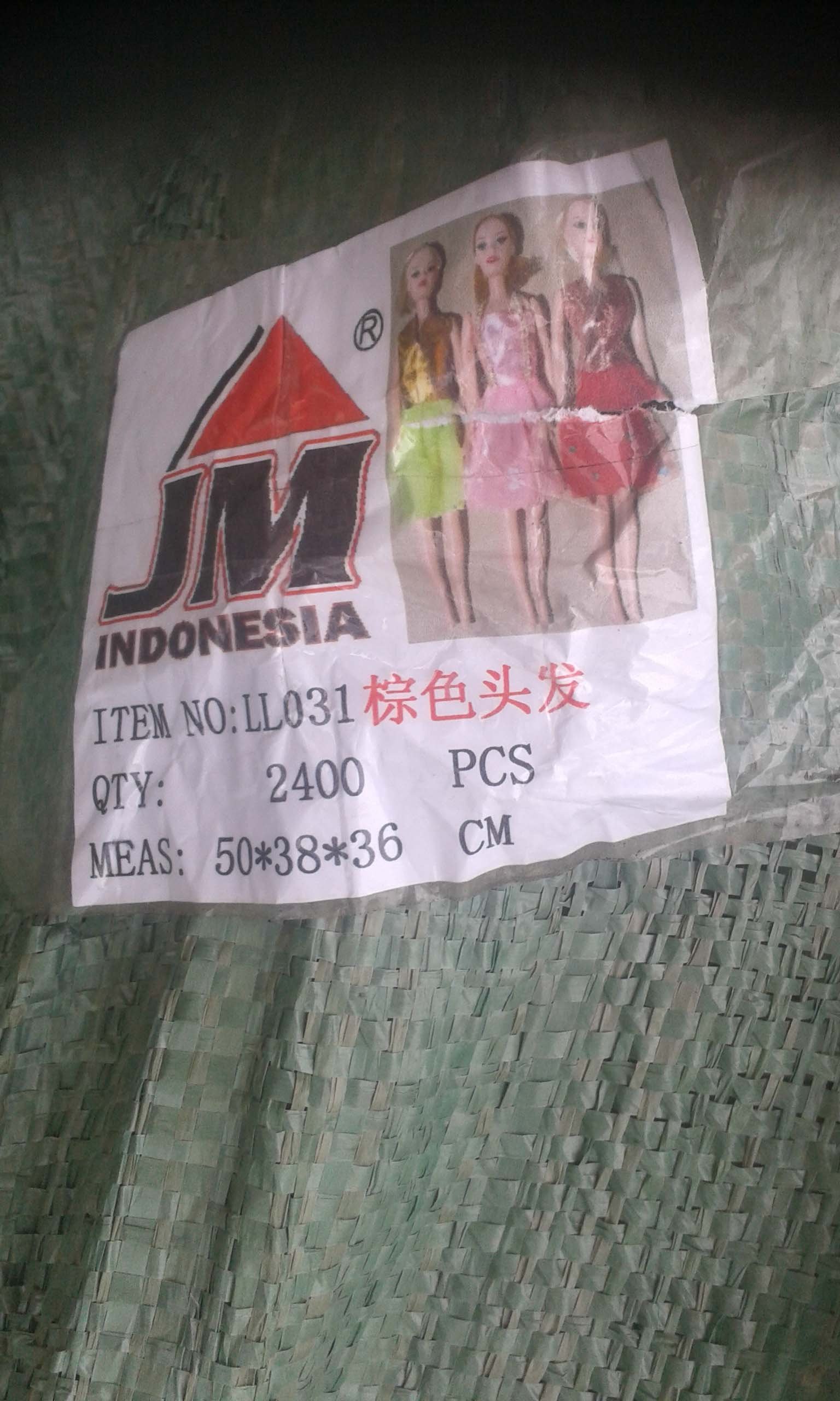 Truk BL 8537 NH Disatroni  Bajing Loncat di Besitang