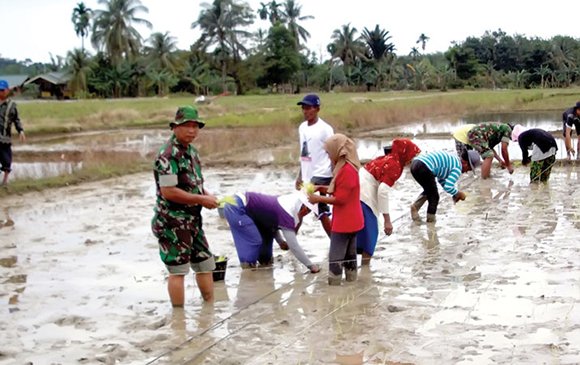 KORAMIL 06/BAHOROK BANTU PETANI OLAH LAHAN PERSAWAHAN