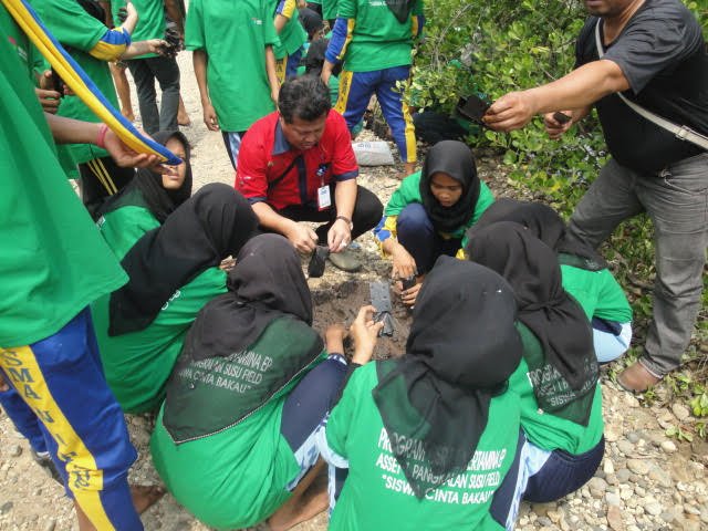 Pertamina EP Pangkalansusu Field Edukasi Siswa Cinta Mangrove