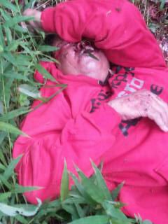 Diduga dirampok Penjual Keliling Tewas Di Tengah Kebun Karet