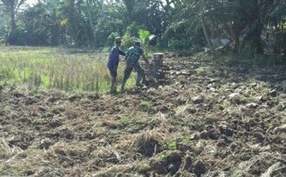 BABINSA BANTU PETANI OLAH LAHAN SAWAH
