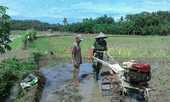 BABINSA KORAMIL 05 TANJUNG TIRAM GUNAKAN HAND TRAKTOR UNTUK BANTU PETANI OLAH SAWAH
