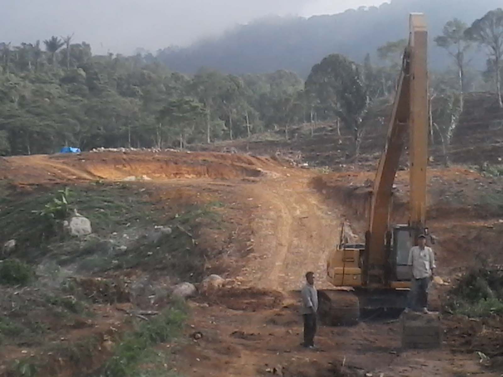 Dapat Kecaman Elemen Masyarakat,  OKNUM ANGGOTA DPRD KOTA PADANGSIDIMPUAN RAMBAH HUTAN TAPSEL