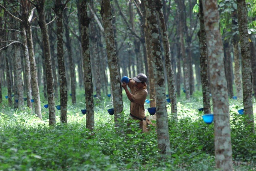 Gapkindo Tolak Rencana Pemerintah Wajibkan SIR