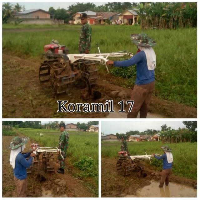 BABINSA KORAMIL 17 BINJAI TIMUR BANTU PETANI OLAH SAWAH