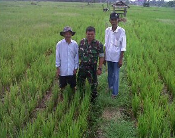 PENGECEKAN BABINSA DI DEMPLOT KORAMIL 08 RANTAU PRAPAT