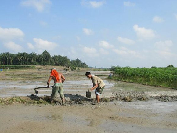 KORAMIL 06/PDG BANTU PETANI BUAT BENTENG SAWAH