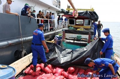 KP Gelatik Tangkap 10 Ton  Bawang Merah Ilegal