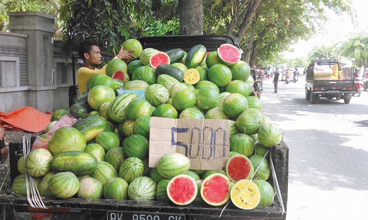 Semangka Buah  Paling Dicari di Bulan Puasa
