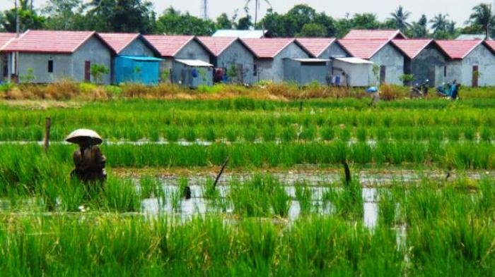 Asian Agri  Targetkan 60 Ribu Hektar Lahan Petani Di 3 Propinsi