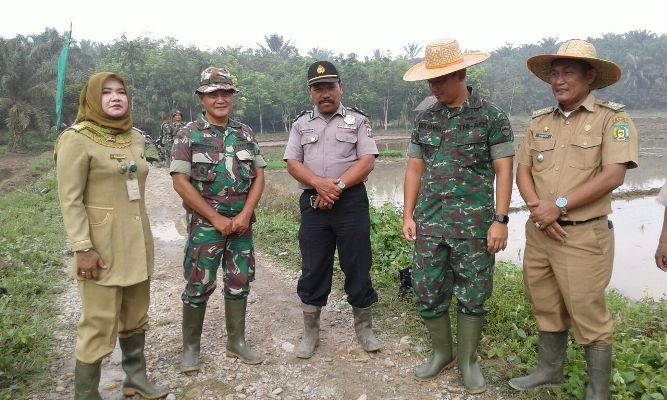 Koramil 14 Besitang-Dandim 0203 Langkat Laksanakan Penanaman Padi