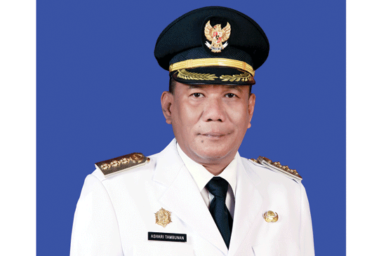 Bupati H Ashari Tambunan dan FKPD Tinjau Kesiapan Pospam OPS Ramadniya Toba 2016