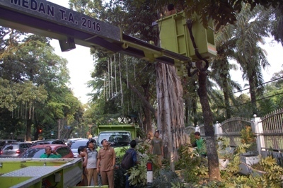 Dinas Pertamanan Lakukan Gotroy