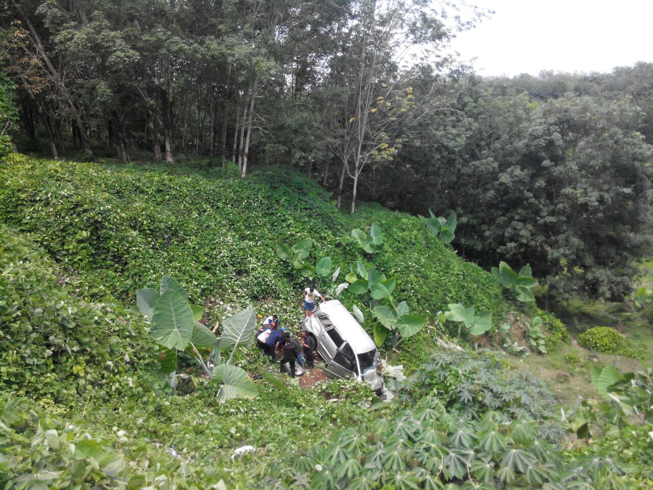 Elakkan Lembu Mobil Inova Masuk Jurang Sedalam 15 Meter