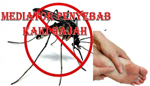 Ajak Warga Cegah Penyakit Kaki Gajah