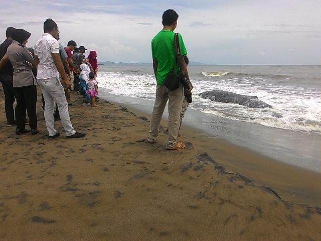 Ikan Paus 7 Meter Terdampar di Pantai Alue Naga