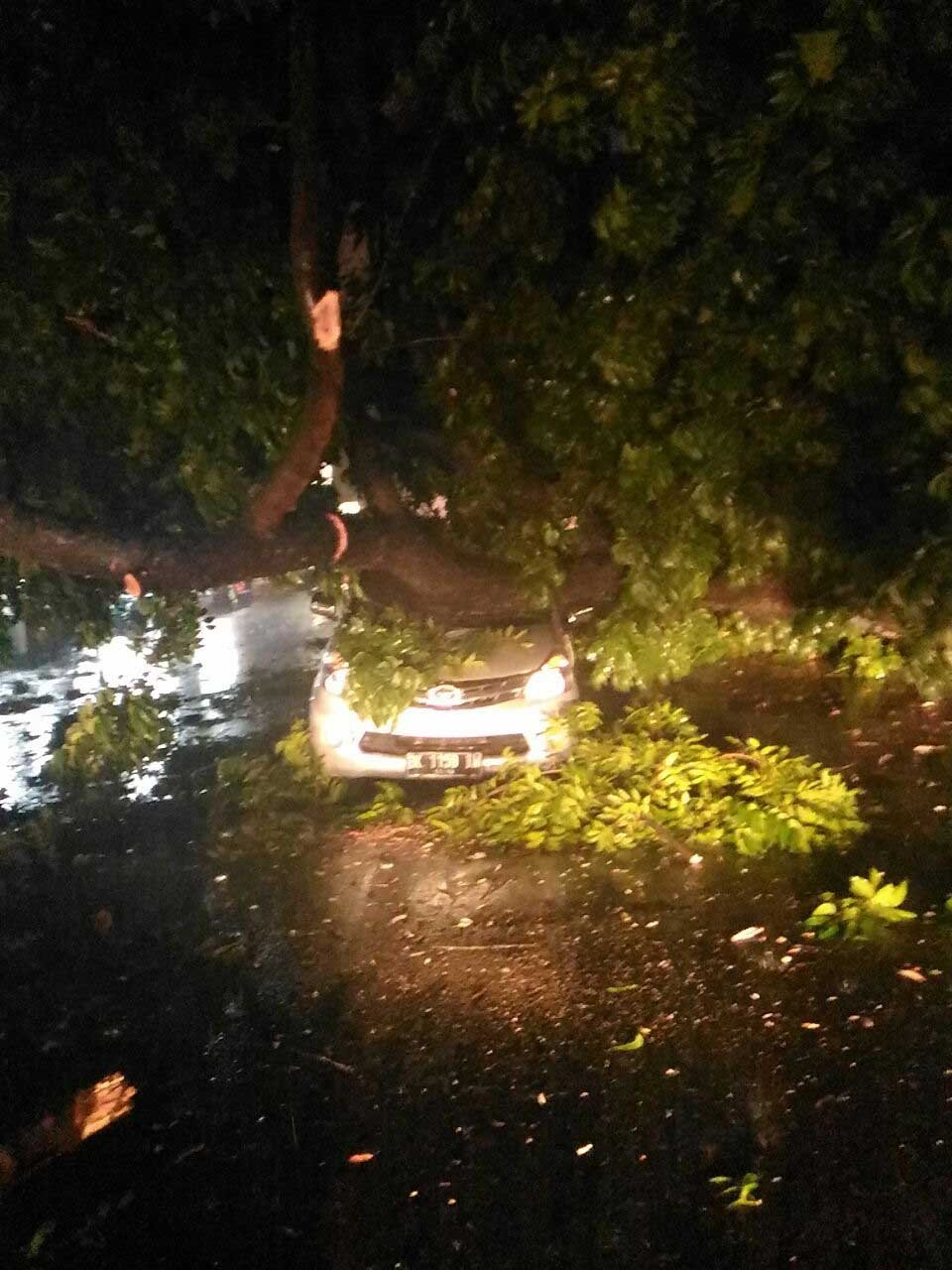 Medan Dikepung Banjir dan Pohon Tumbang