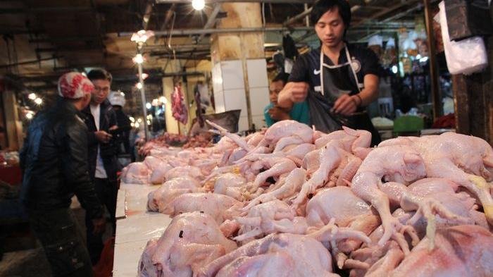 Pasca Idul Adha, Harga Daging Ayam Turun di Medan