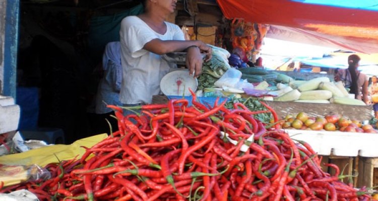 Erupsi Gunung Sinabung, Harga Cabai Bertahan Mahal