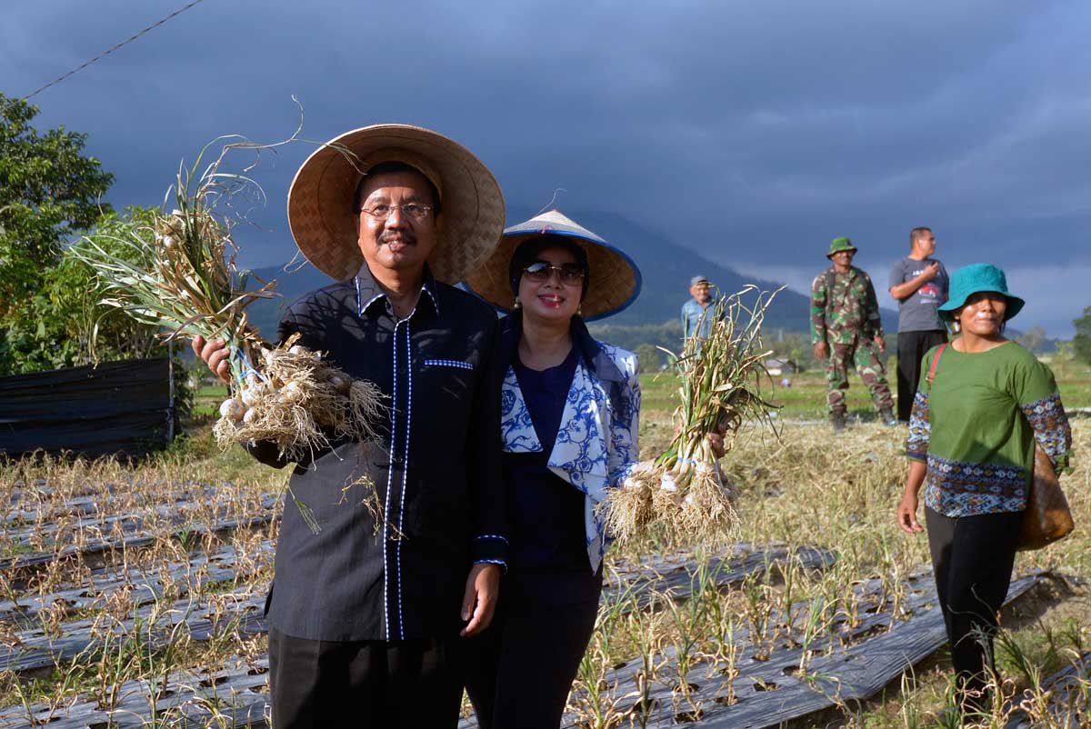 Erry: 100 Hektar Lahan Bawang Disiapkan