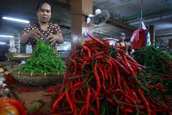Harga Cabai Merah di Medan Setara Dengan Harga Beras Per 10 Kilogram