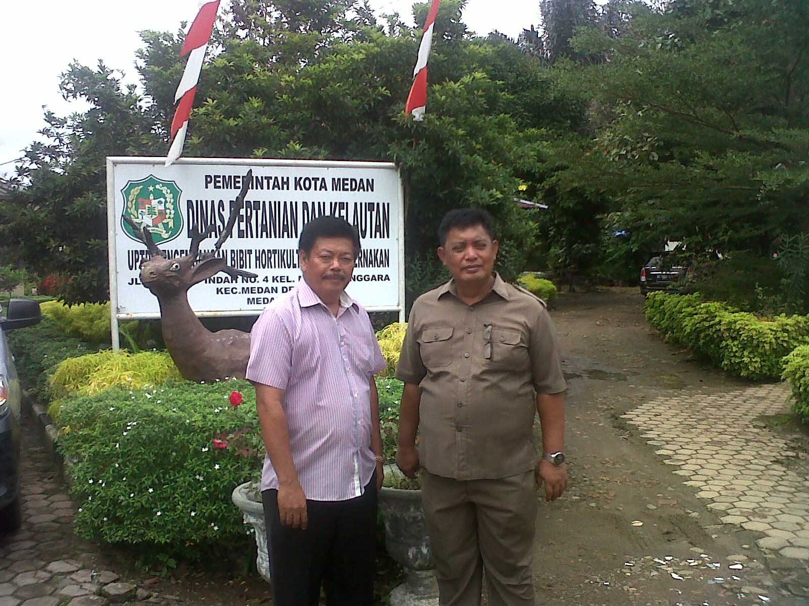 Distanla Medan Kembangkan Bibit Tanaman Gratis Untuk Masyarakat