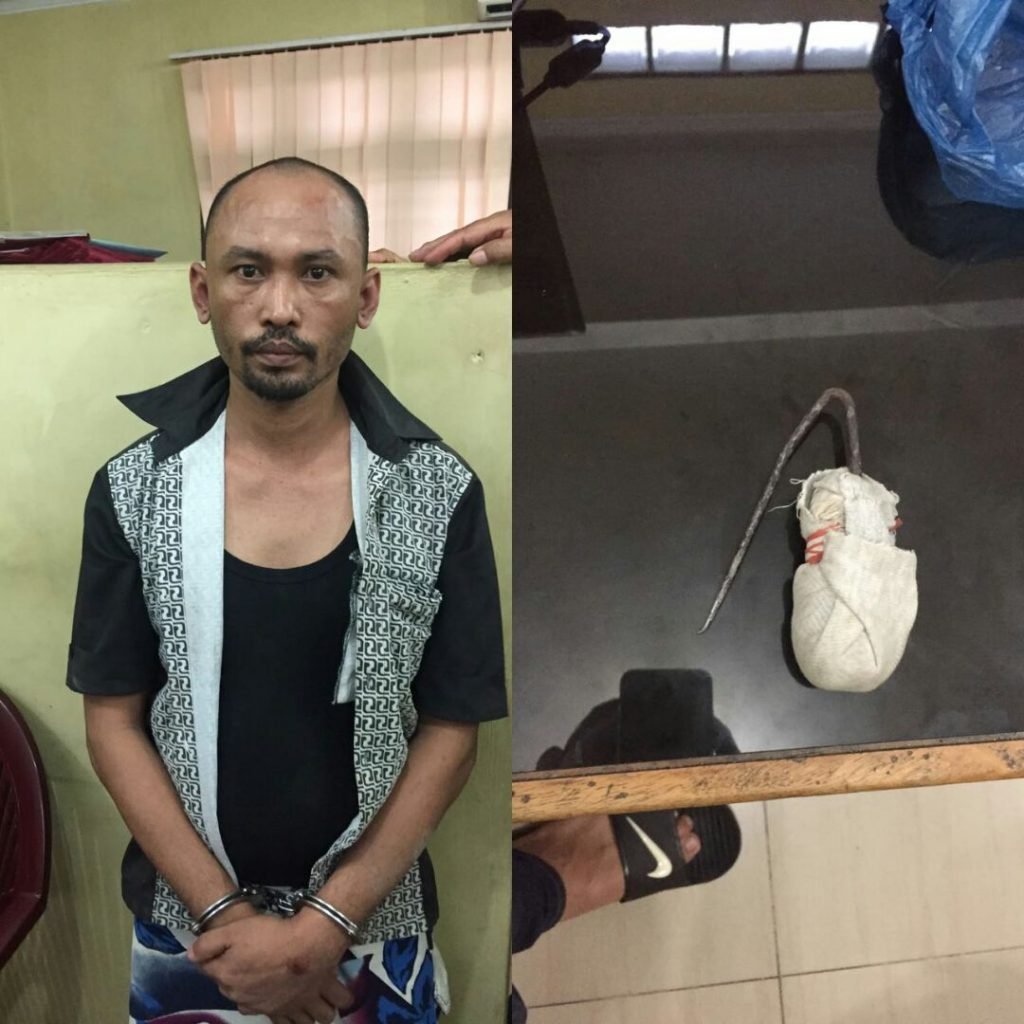 Napi Tanjung Gusta  Tewas Ditikami