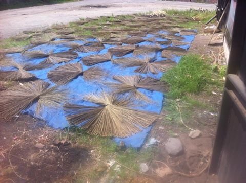 Sejahterakan Petani Sawit di Sumut,  Lidi Sawit Dapat Tembus Pasar Ekspor