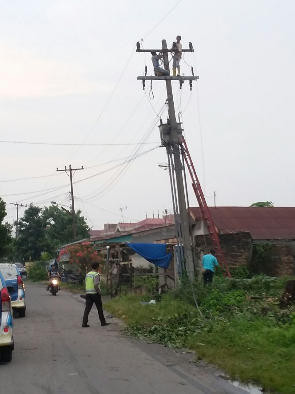 Polisi dan PLN Evakuasi Pohon Tumbang