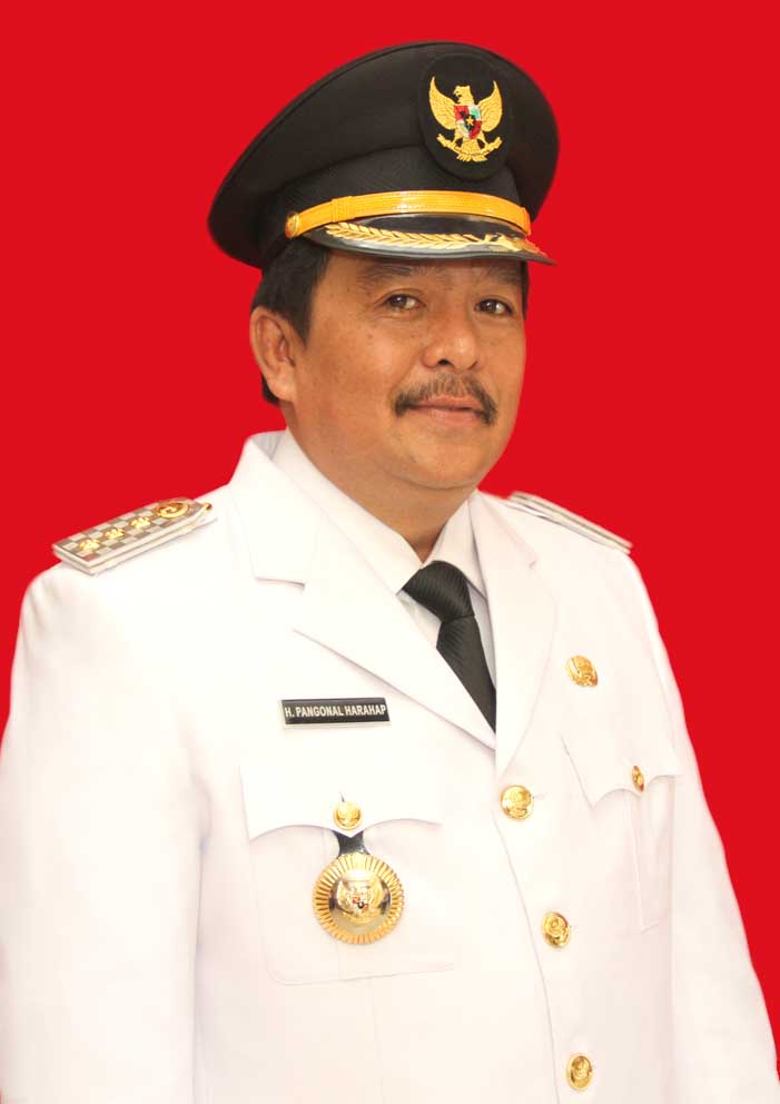 Pangonal Harus Diperiksa