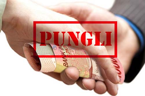 Donny Setha Minta Polres Usut Pungli di PLTU Pangkalansusu