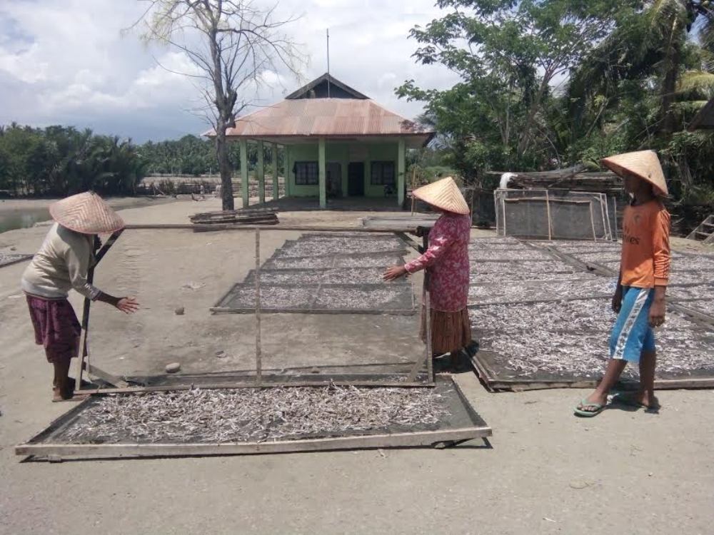 Pengusaha Ikan Teri di Pidie Jaya Butuh Bantuan Tempat Penjemuran