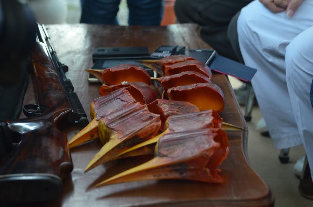 Rangkok Gading Indonesia Terancam Punah