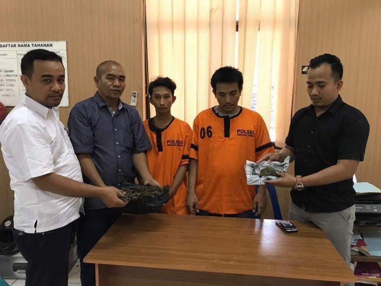 Polsek Medan Timur Amankan 1 Kilogram Ganja