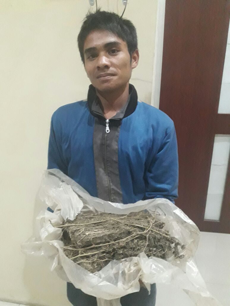 Edarkan Ganja 2 KG, Pemuda Aih Bobo Lebaran Di Sel