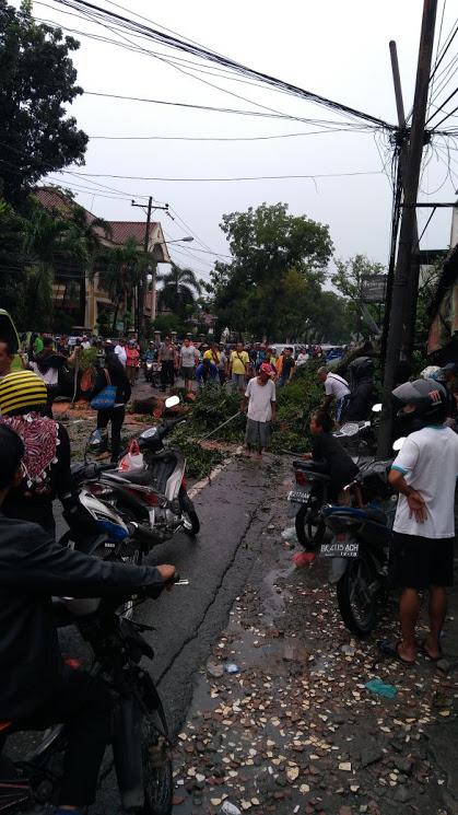 Dinas kebersihan dan Pertamanan Atasi Pohon Tumbang di Jalan Gaperta